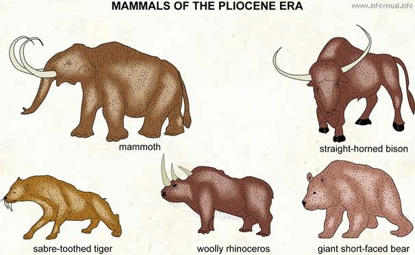 Pliocene  (Visual Dictionary)